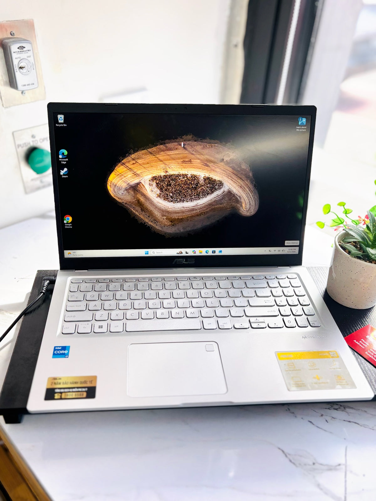 ASUS VivoBook X515E
