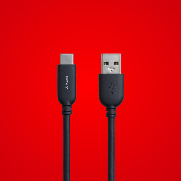 USBC Cable Charger (With Purchase)