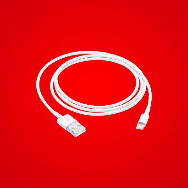 LIGHTNING CABLE USB CHARGER (WITH PURCHASE)
